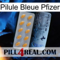 Pfizer Blue Pill 44